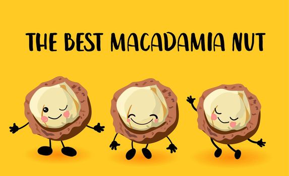 Macadamia nut character. Greeting card or logo yellow bright background. Useful and fresh food. Vegetarianism and vegans.