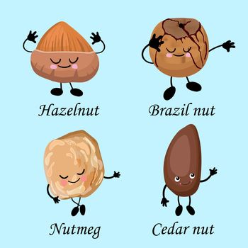 collection of nuts characters. Healthy foods. Vegetarianism and healthy food. Hazelnuts, Brazil nuts, pine nuts, nutmegs..