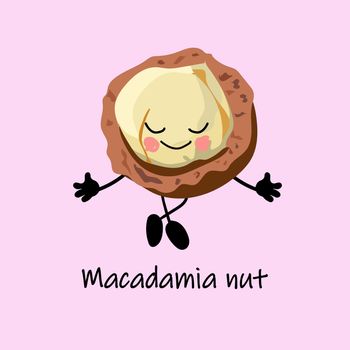 collection of nuts characters. Healthy foods. Vegetarianism and healthy food. Macadamia nut cartoon character..