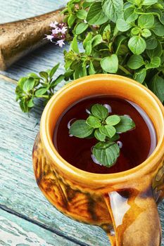 Medicinal tea from marjoram leaves.Herbal tea with oregano.