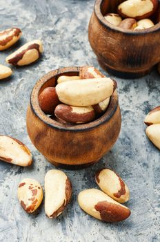 Brazil nut or Bertholletia