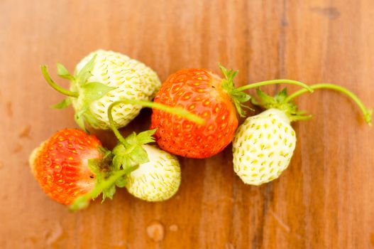 White and red strawberries lie in the sun. Delicious and sweet dessert berry. Vitamins