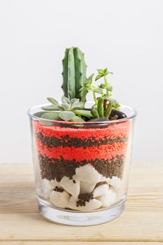 Succulent plants arrangement in a glass vase.