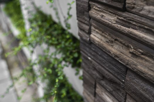 Natural stone bricks as a decoration on a wall with a green plants. Natural stone wall texture. The walls are made of stones or marbles. Decoration for the walls or febces.