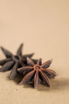 Star anise spice fruits and seeds. closeup