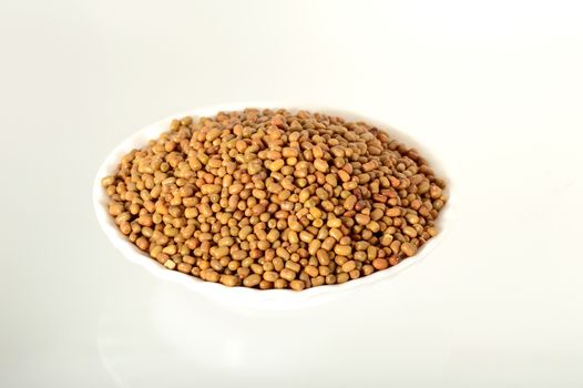Closeup Of Moth Beans, Indian name Matki, Closeup of moth beans a lesser known legume