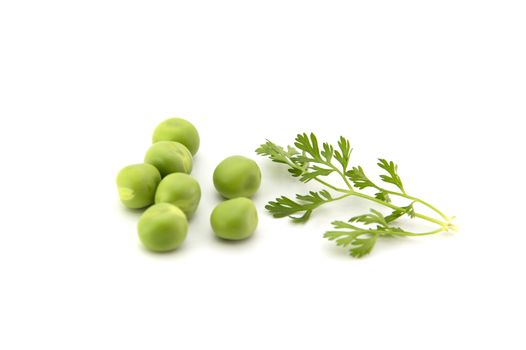 fresh green peas with coriander leaves isolated on a white background