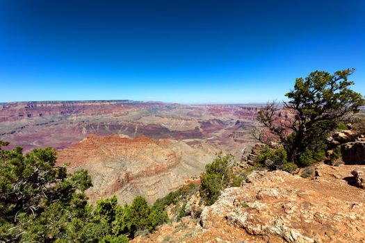 Wide view of the Grand Canyon South Rim in Arizona 