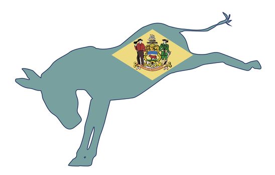 Delaware Democrat Donkey Flag