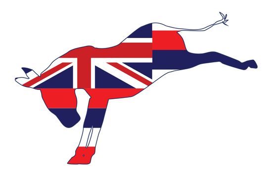 Hawaii Democrat Donkey Flag