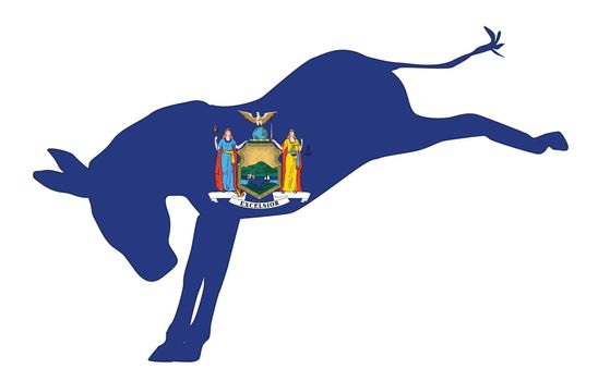 New York Democrat Donkey Flag