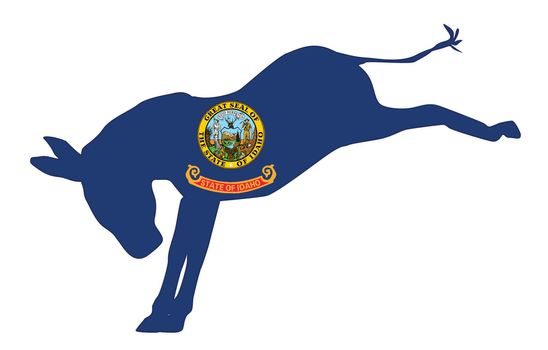 Idaho Democrat Donkey Flag