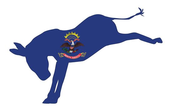 North Dakota Democrat Donkey Flag