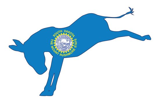 South Dakota Democrat Donkey Flag