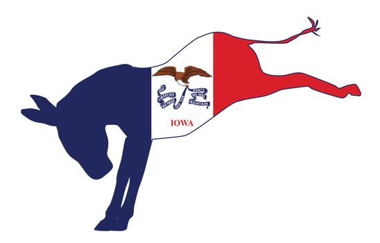 Iowa Democrat Donkey Flag