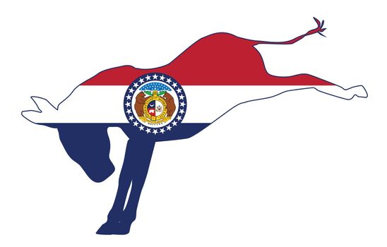 Missouri Democrat Donkey Flag