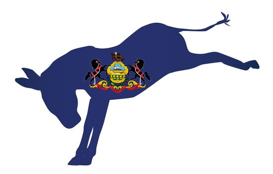 Pennsylvania Democrat Donkey Flag