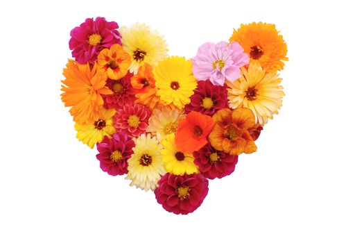 Mixed flowers in a heart shape on white