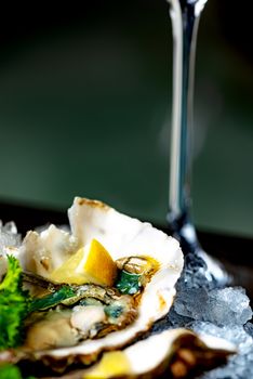 Raw opened oysters on crushed ice