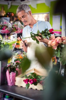 Male florist trimming stems of flowers