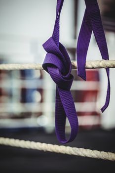 Karate purple belt hang off the rope