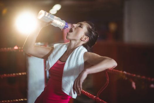 Female boxer drinking water in boxing ring