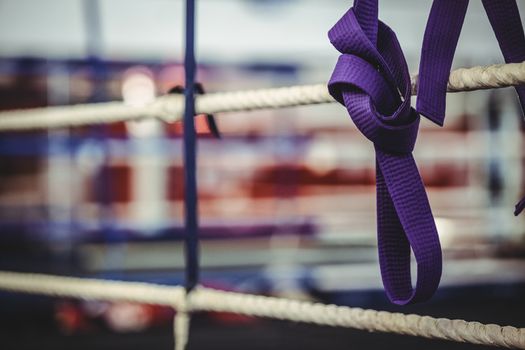 Karate purple belt hang off the rope