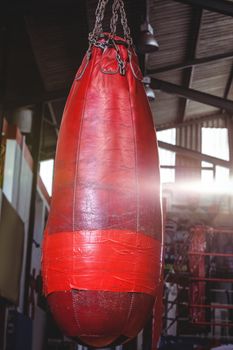 Close-up of punching bag hanging