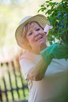 Senior woman trimming plants with pruning shears