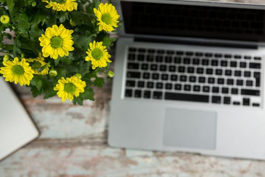 Laptop and flower vase