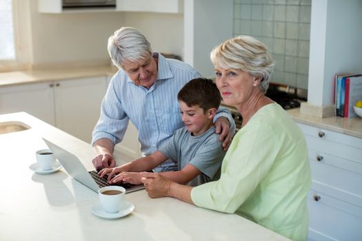 Grandson using laptop with grandparents