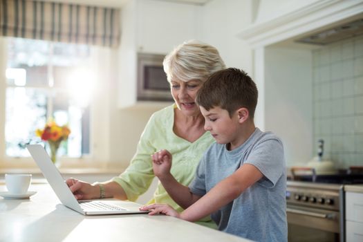 Grandson using laptop with grandmother
