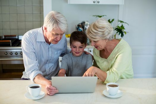 Grandson using laptop with grandparents