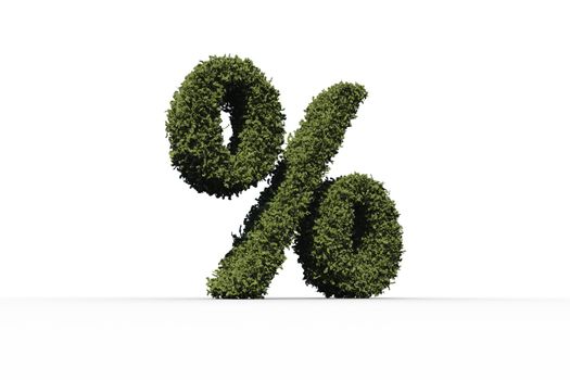 Percentage sign made of leaves