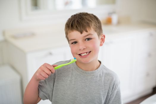 Portrait of boy brushing teeth in bathroom at home