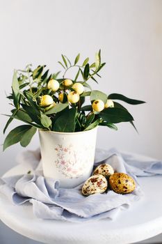 Easter eggs with green branches and yellow berries on white and gray background. Happy Easter holiday, front view.