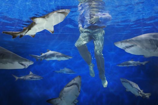 Businessman surrounded by sharks