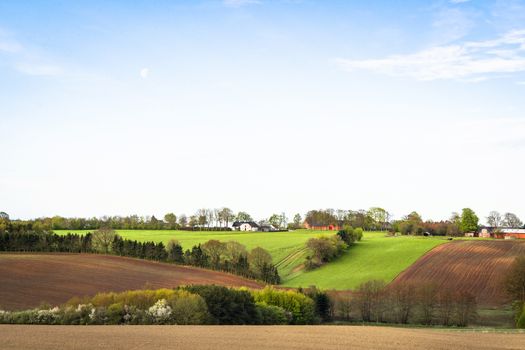 Rural landscape with cultivated fields