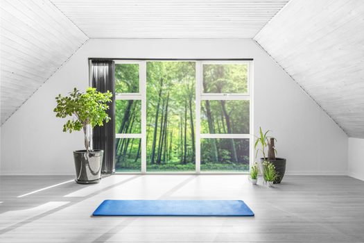 Yoga gym room in a green forest