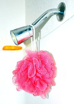 Shower head sponge and soap.
