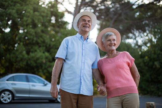 Senior couple standing at roadside