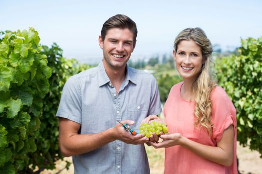 Portrait of happy couple holding grapes and pruning shears at vineyard