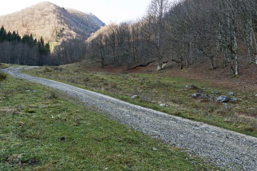 Ecological road through a mountainous autumn forest to a sunlit peak, Balkan mountain, Teteven town