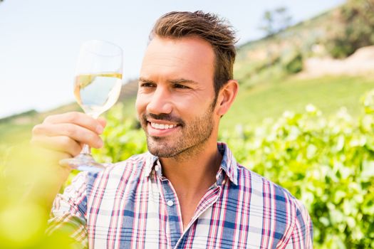 Smiling young man looking at wineglass