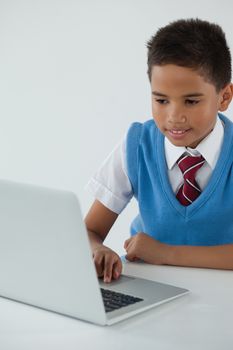 Schoolboy using laptop