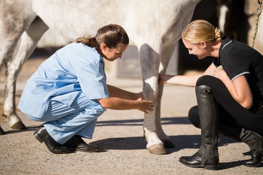 Jockey looking at vet bandaging horse leg