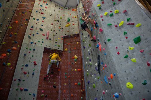Athletes practicing rock climbing in health club