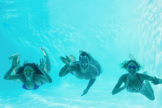 Friends underwater in swimming pool