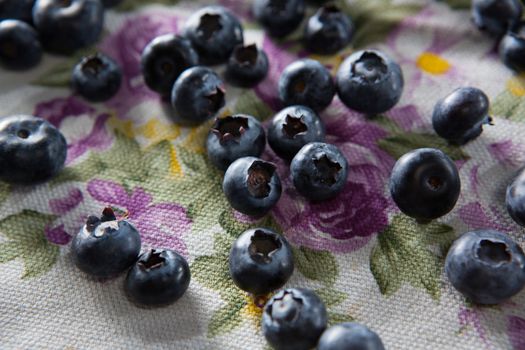 Blueberries on textile