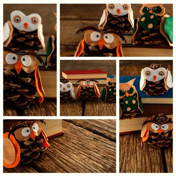 Several Owls in pine cone